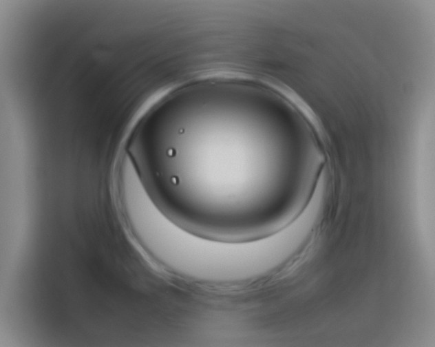 X0000113761293200910071124