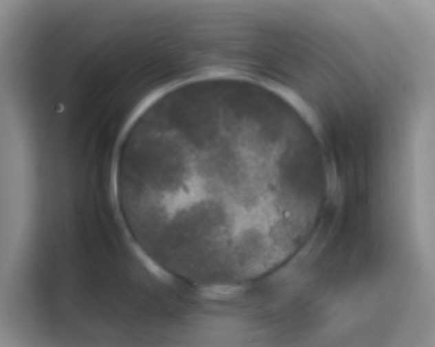 X0000113761294200910071124