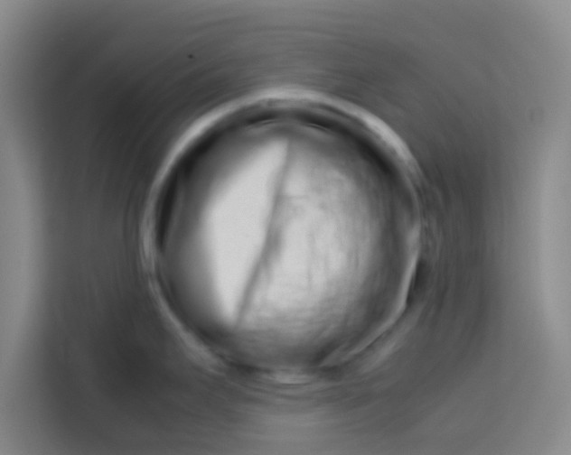 X0000113761295200910071124