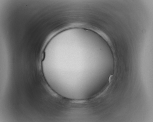 X0000113761296200910071124