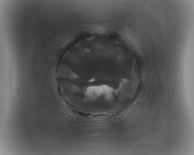X0000113761297200910071123