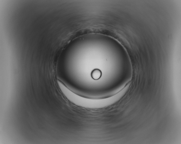 X0000113761298200910071123