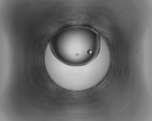 X0000113761300200910071123