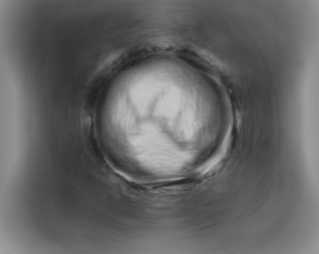 X0000113761302200910071123