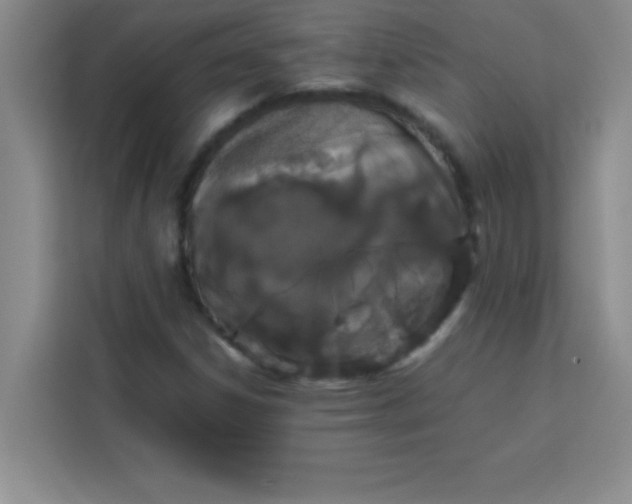 X0000113761306200910071123