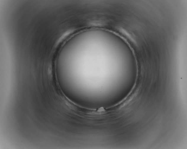 X0000113761307200910071123