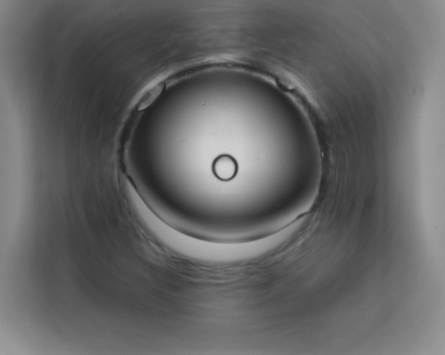 X0000113761308200910071123