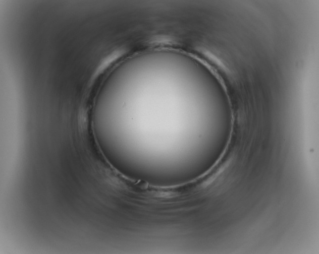 X0000113761309200910071123