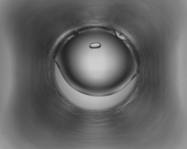 X0000113761310200910071123