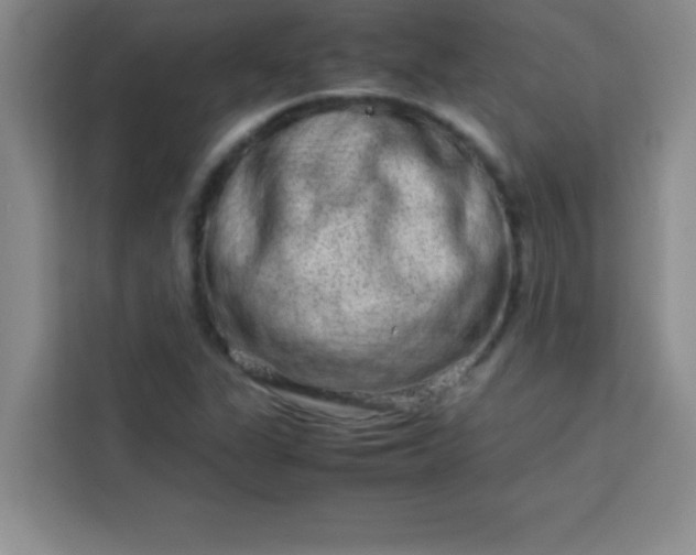 X0000113761311200910071123