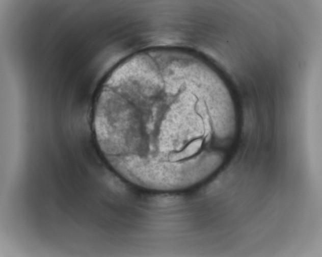 X0000113761314200910071123