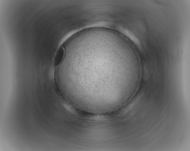 X0000113761316200910071124