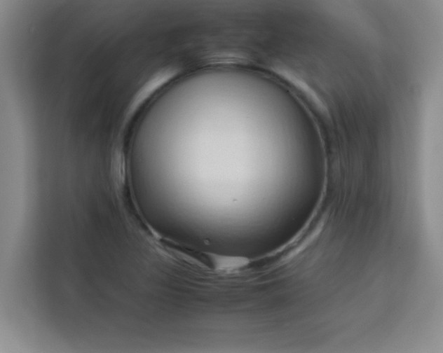 X0000113761317200910071124