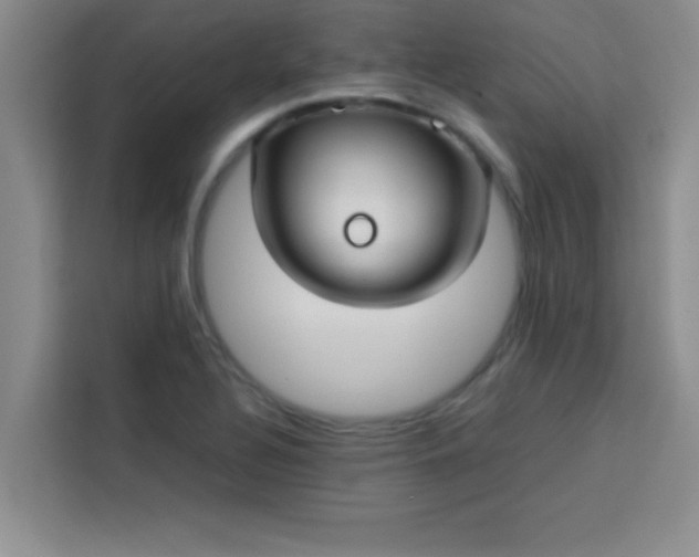 X0000113761320200910071124