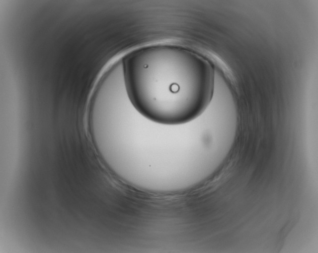 X0000113761324200910071124