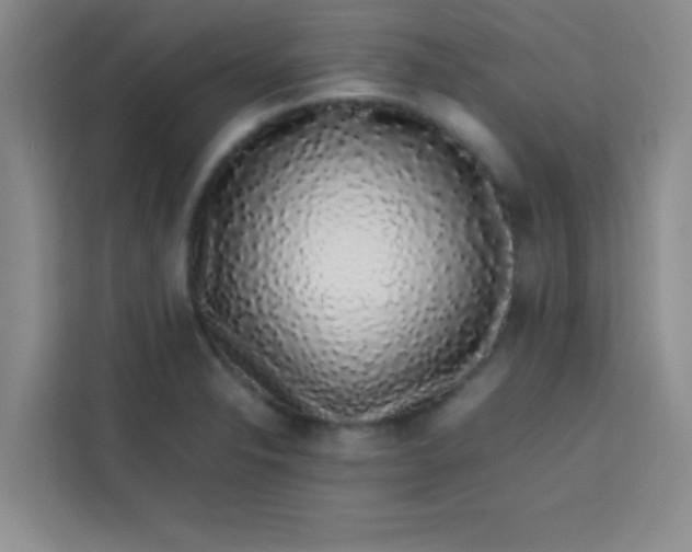 X0000113761326200910071124