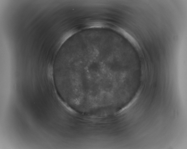 X0000113761329200910071124