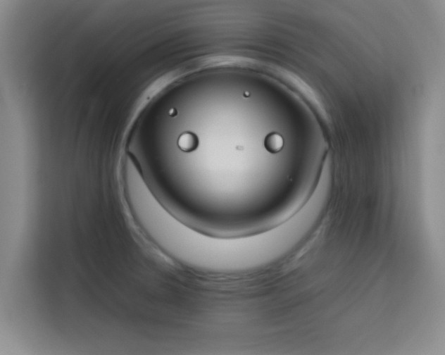 X0000113761330200910071124