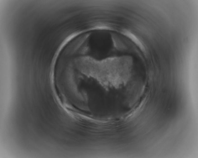 X0000113761331200910071124