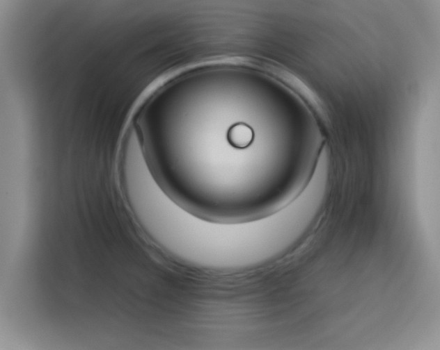 X0000113761332200910071124