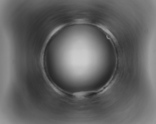X0000113761333200910071124