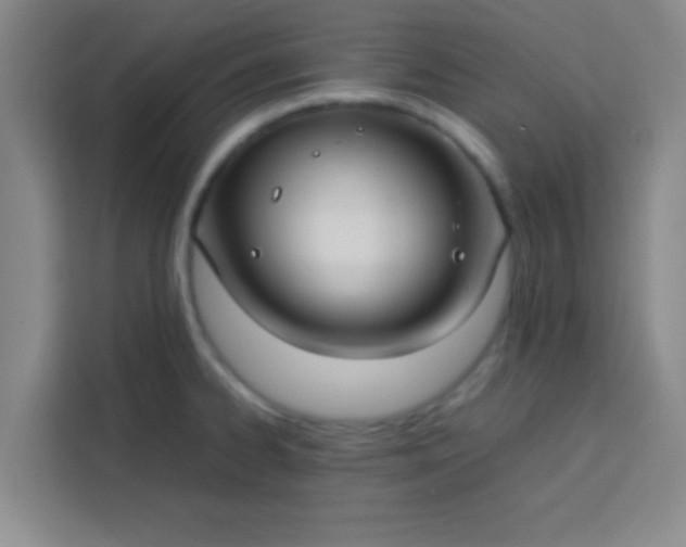 X0000113761334200910071124