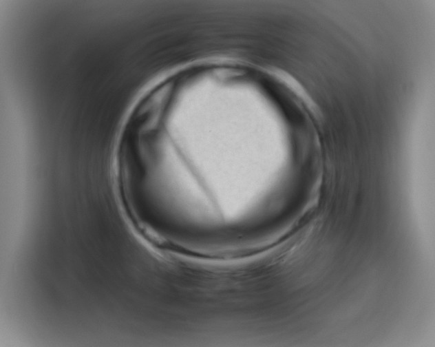 X0000113761335200910071124