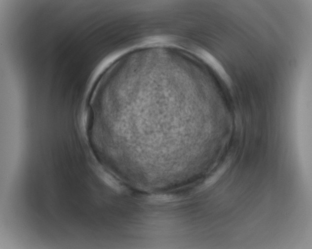 X0000113761336200910071124