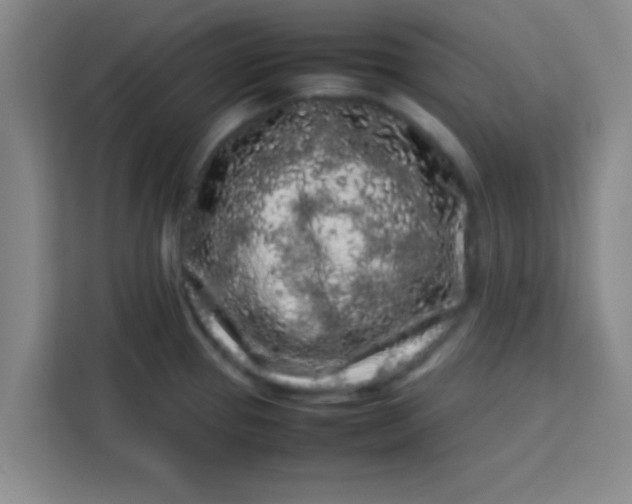 X0000113761337200910071124