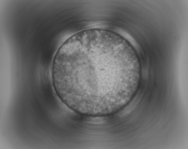 X0000113761338200910071124