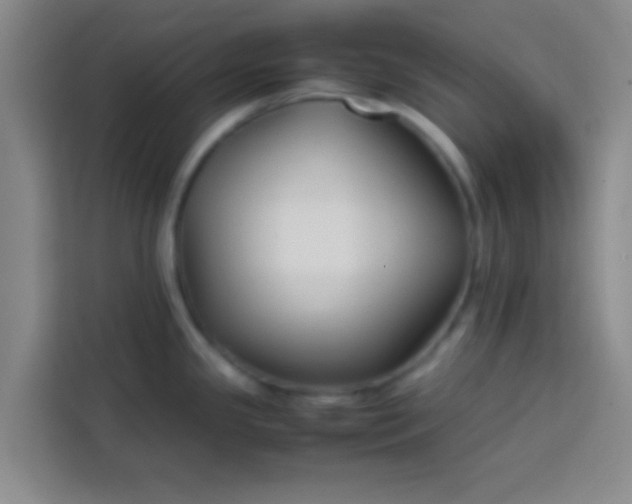 X0000113761341200910071124