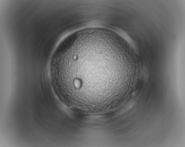 X0000113761342200910071124