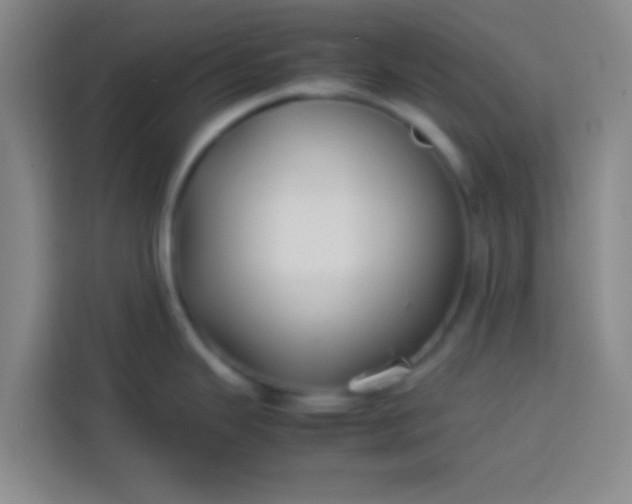 X0000113761343200910071124