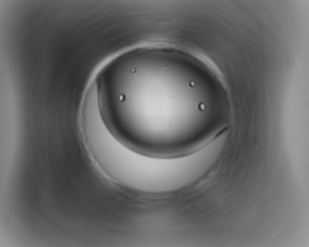 X0000113761344200910071124