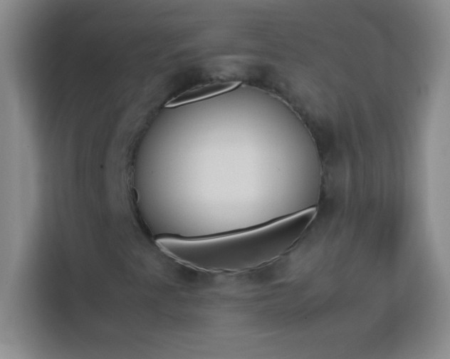 X0000113761345200910071123