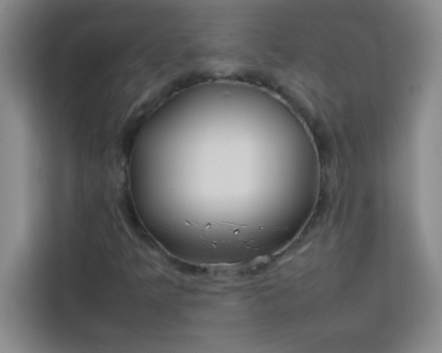X0000113761349200910071123