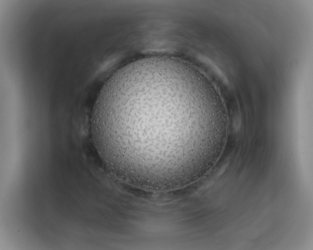 X0000113761350200910071123