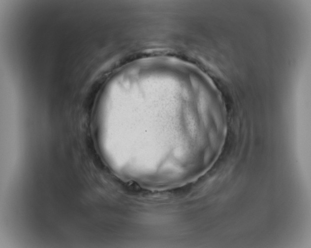 X0000113761351200910071123
