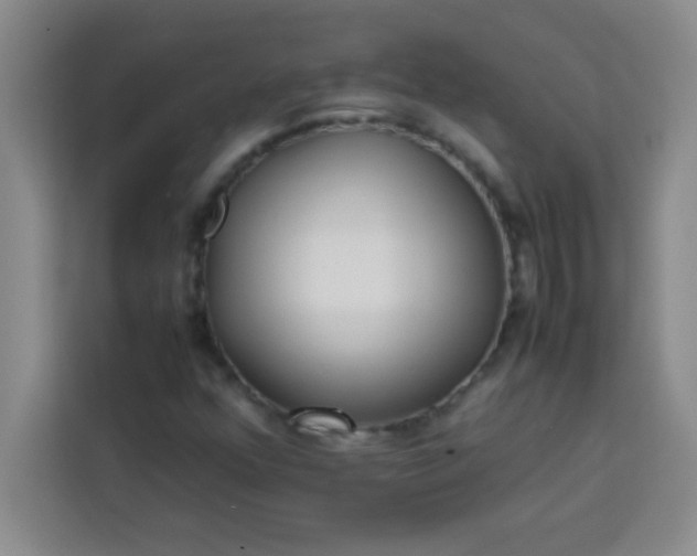X0000113761352200910071123