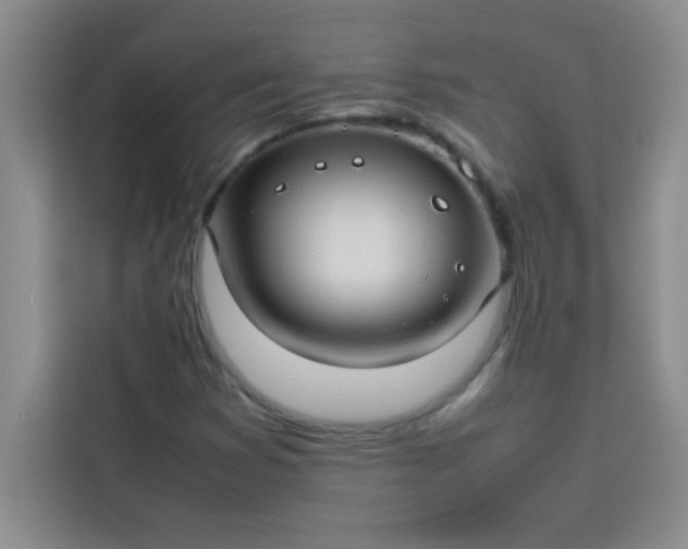 X0000113761353200910071123