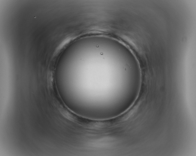 X0000113761355200910071123