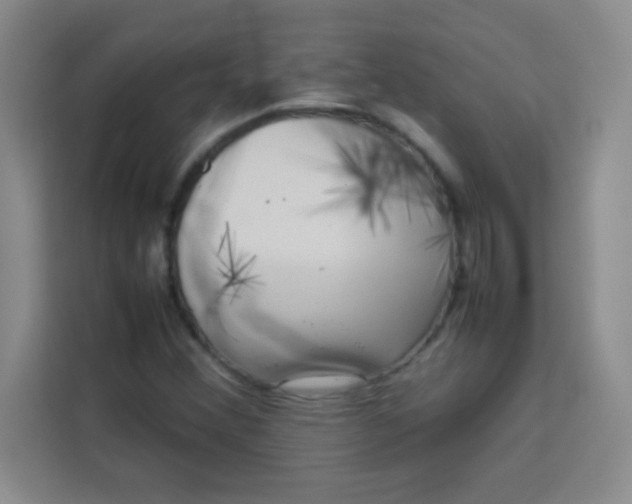 X0000113761356200910071123