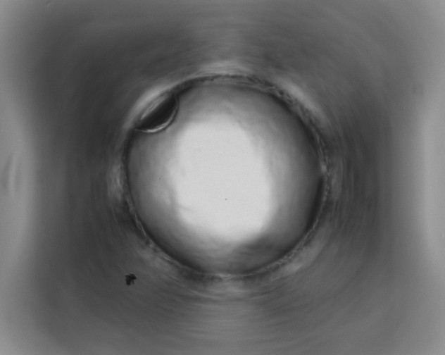 X0000113761358200910071123