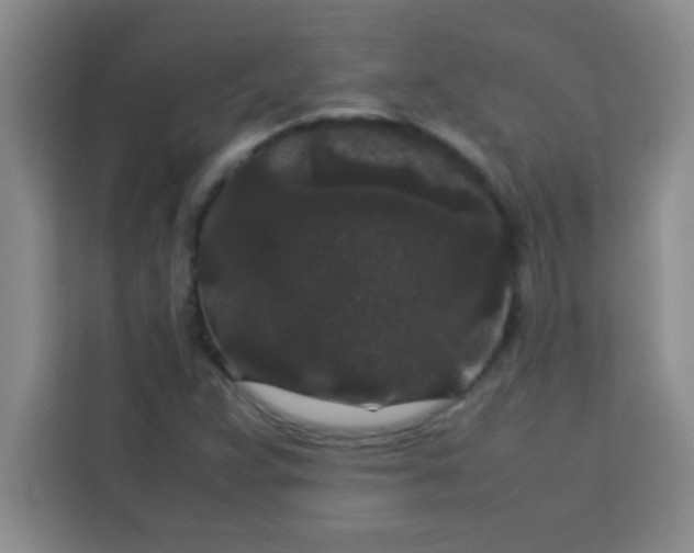 X0000113761359200910071123
