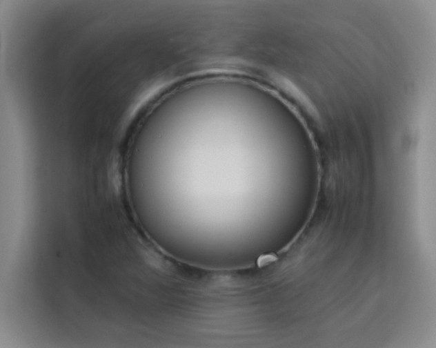 X0000113761360200910071123