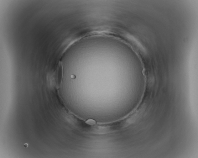 X0000113761361200910071123