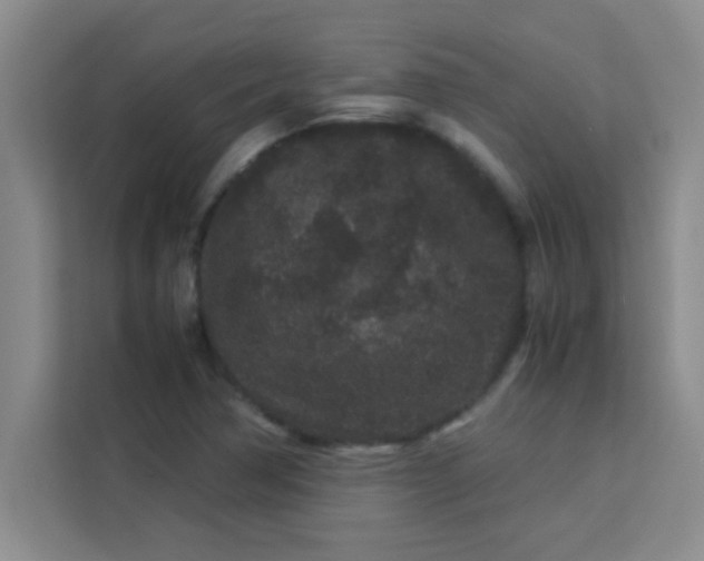 X0000113761362200910071123