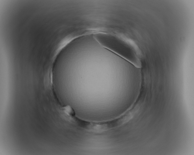 X0000113761365200910071123