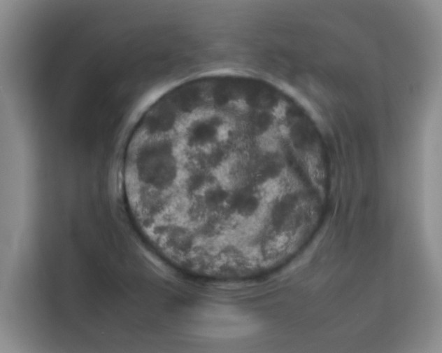 X0000113761367200910071123