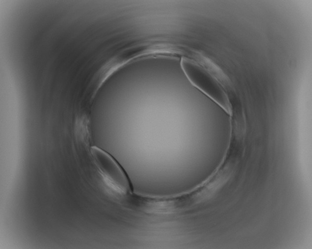 X0000113761369200910071123